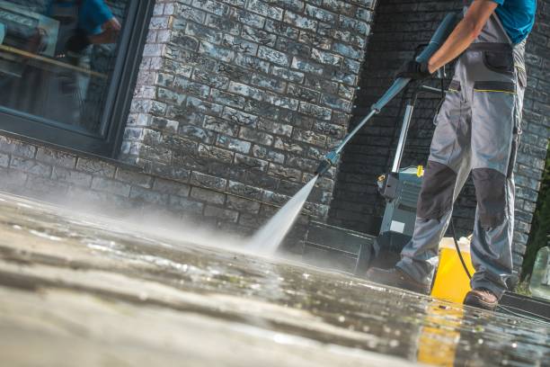 Best Pool Deck Cleaning in Csar Chvez, TX