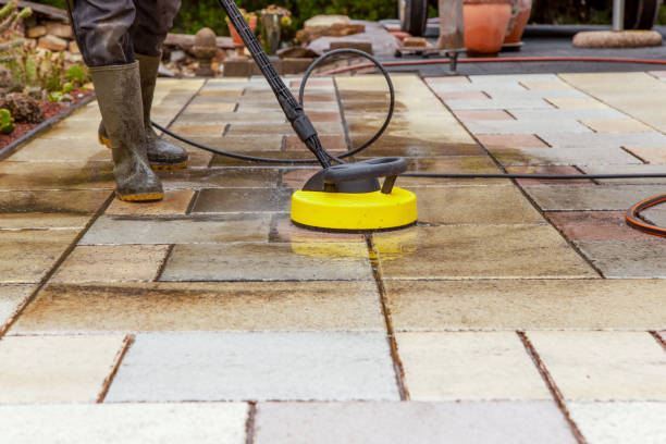 Best Fence Cleaning and Maintenance in Csar Chvez, TX
