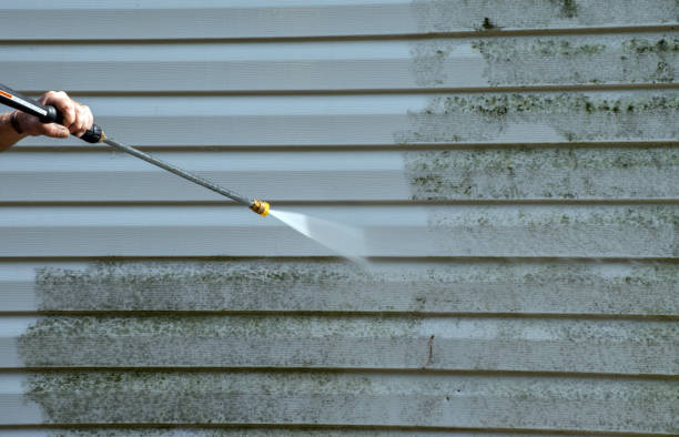 Best Sidewalk and Walkway Pressure Cleaning in Csar Chvez, TX